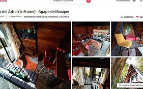 Casa Del Arbol