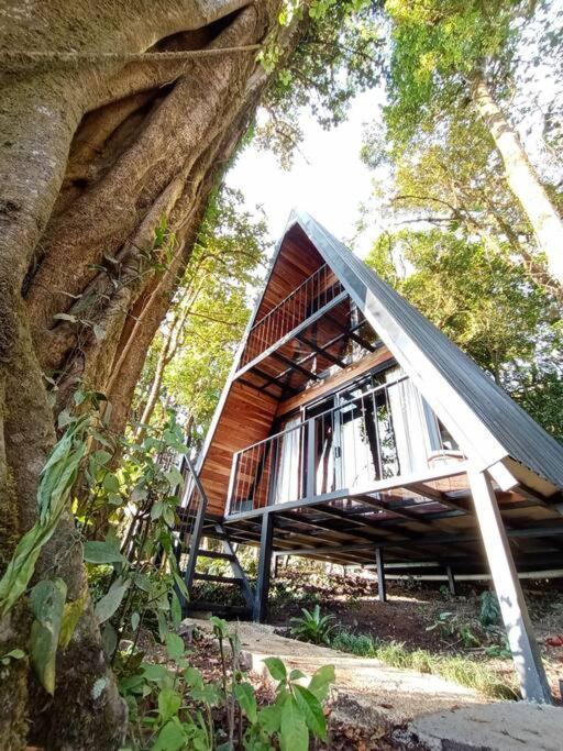 Villa Casa Del Arbol à Monteverde Extérieur photo